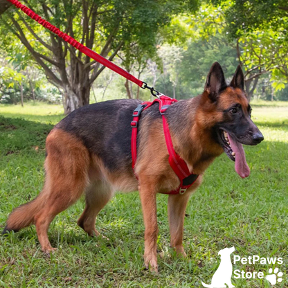 PetPaws Bungee Comfort Leash