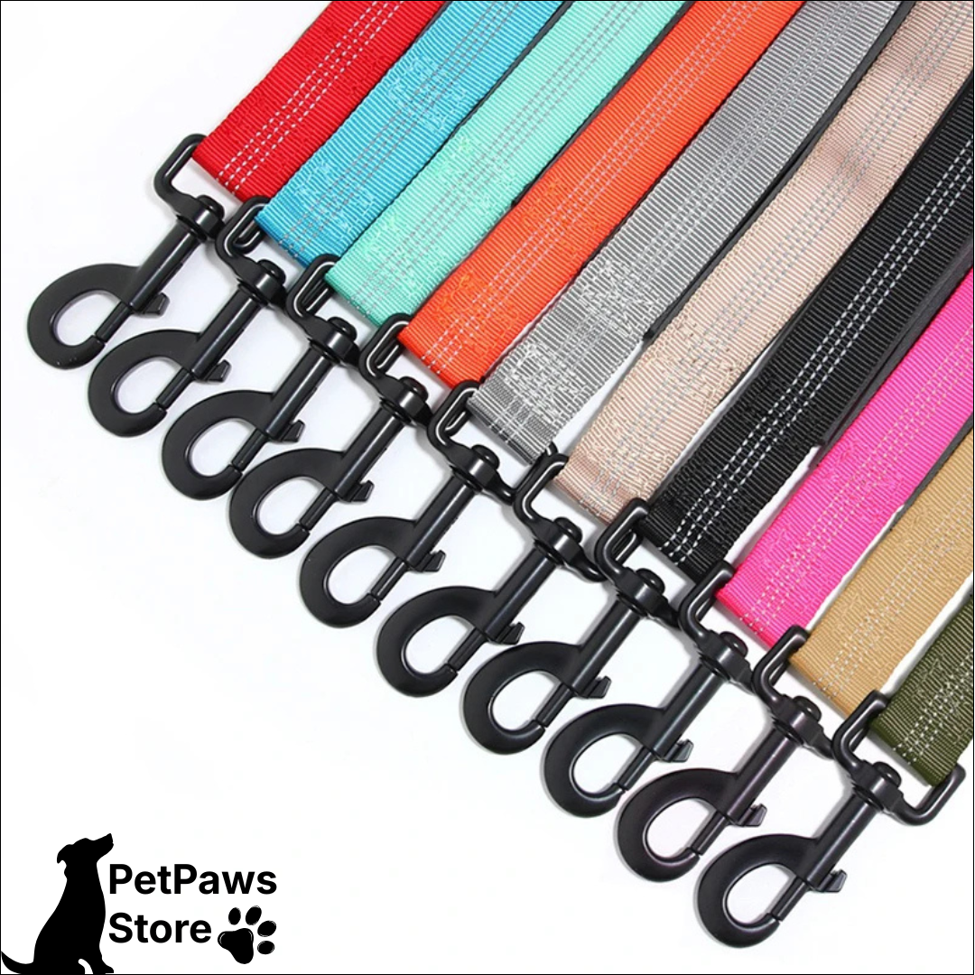 PetPaws Bungee Comfort Leash