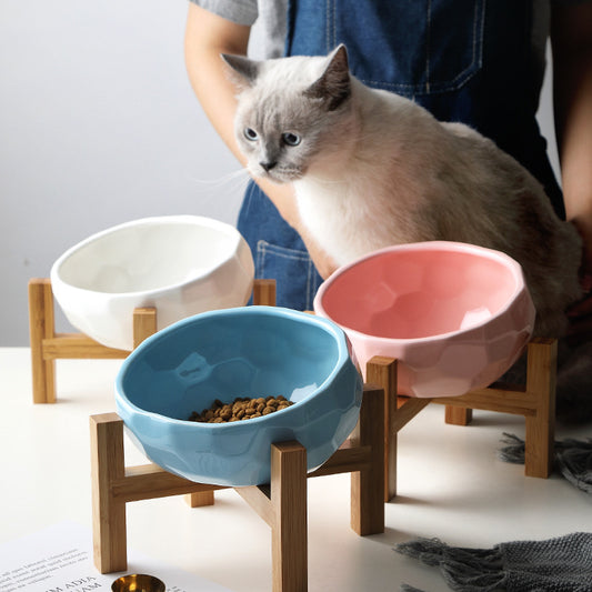 Make Mealtime Comfortable & Stylish with Our Tilted Pet Bowl! - Pet Paws