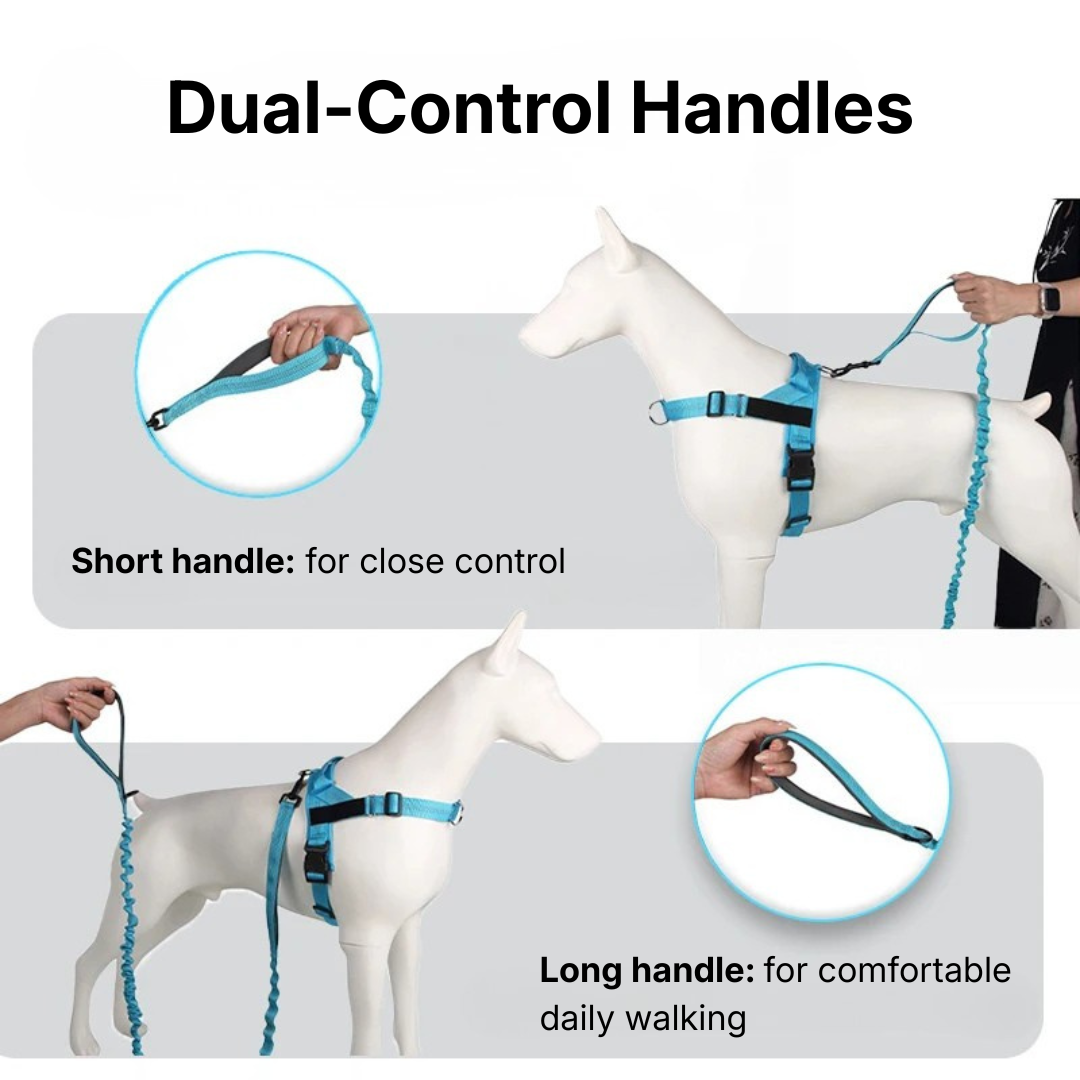 PetPaws Bungee Comfort Leash