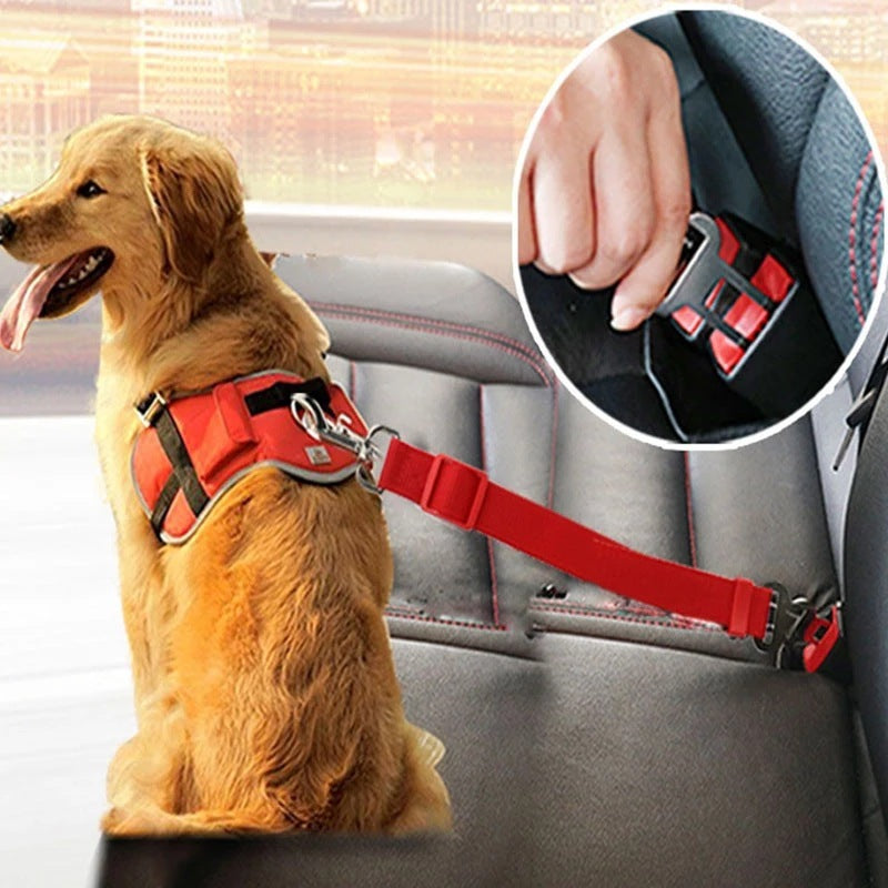 Drive Safely with Your Pet – Adjustable Car Seat Belt for Dogs & Cats! - Pet Paws