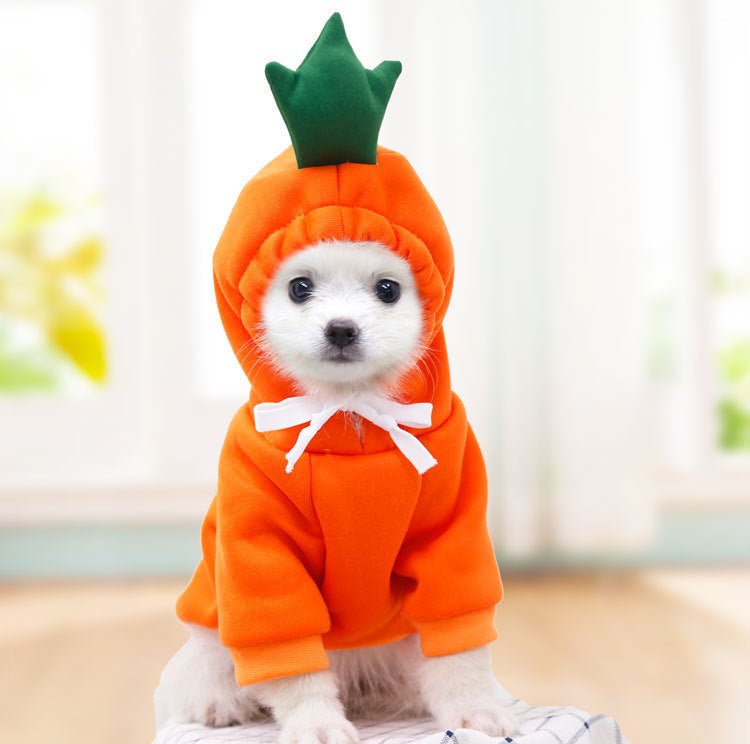 Keep Your Pet Cozy & Cute with Adorable Fruit-Themed Winter Hoodies! - Pet Paws