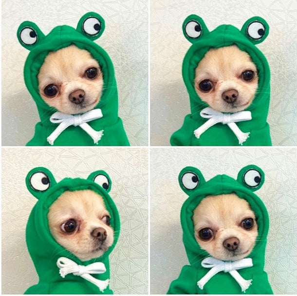 Keep Your Pet Cozy & Cute with Adorable Fruit-Themed Winter Hoodies! - Pet Paws