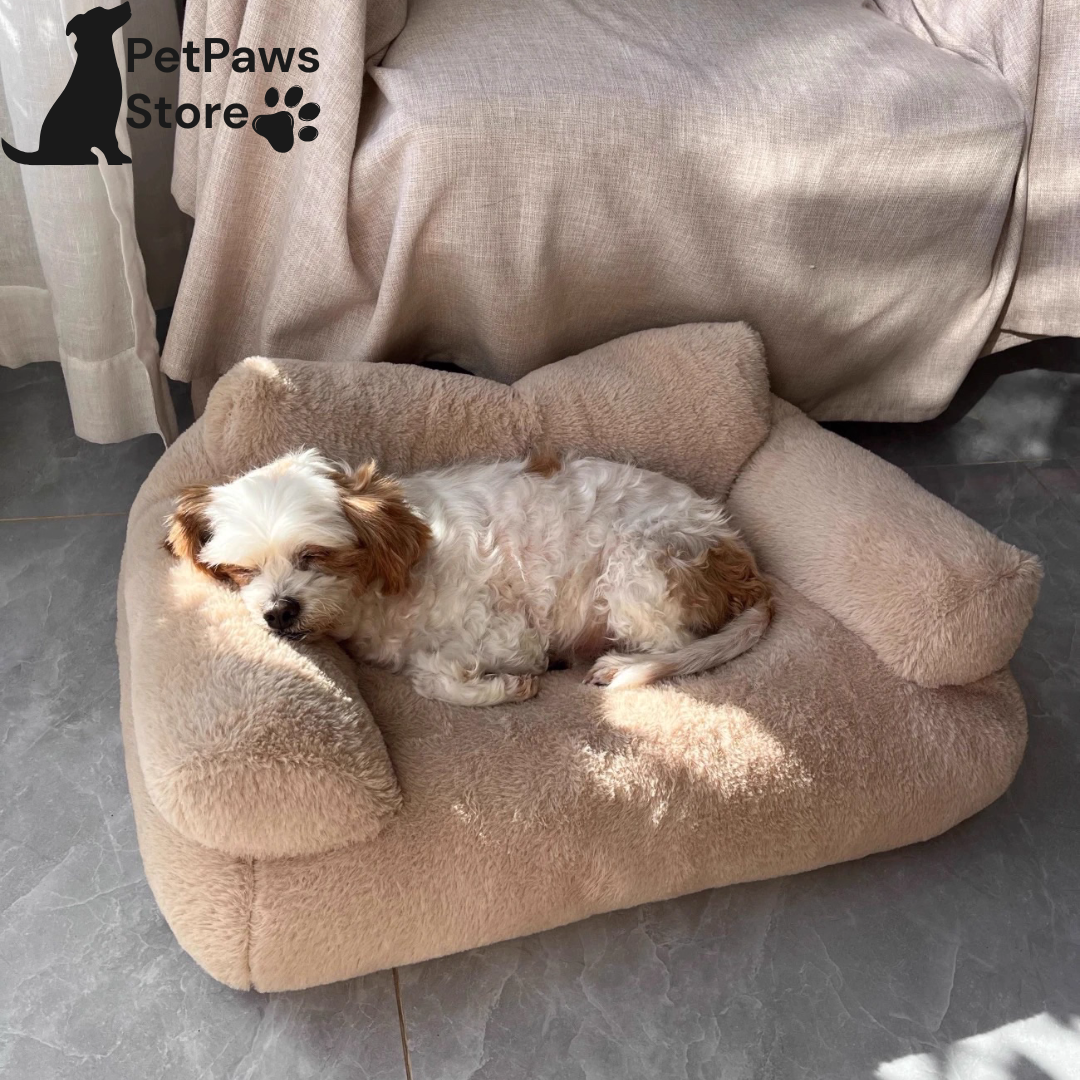 PetPaws CozyCloud Plush Sofa Bed