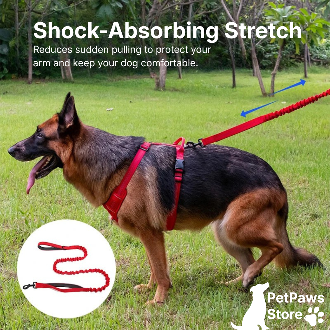 PetPaws Bungee Comfort Leash