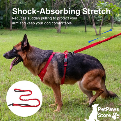 PetPaws Bungee Comfort Leash