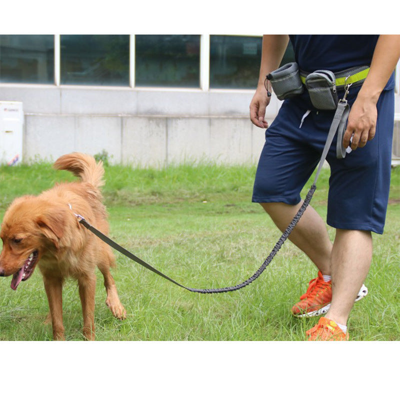 Run Free with Your Dog! Hands-Free Adjustable Dog Leash Set - Pet Paws