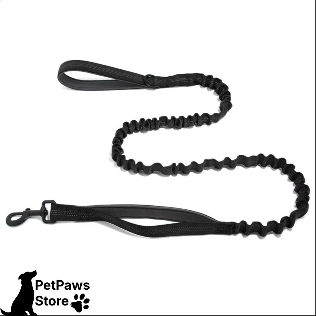 PetPaws Bungee Comfort Leash