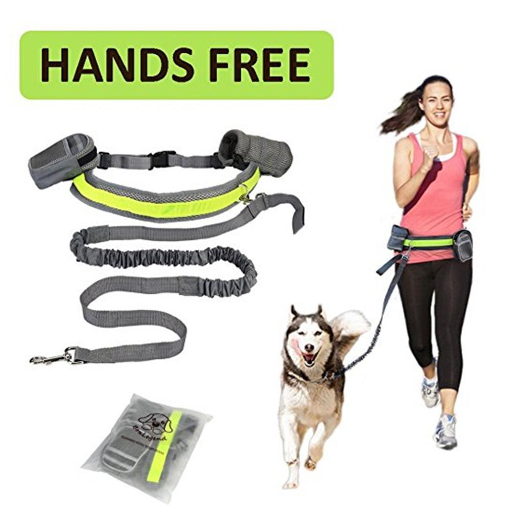 Run Free with Your Dog! Hands-Free Adjustable Dog Leash Set - Pet Paws