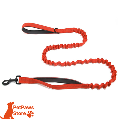 PetPaws Bungee Comfort Leash