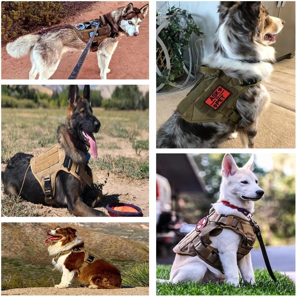 Unleash Adventure with the Tactical Luxury Dog Harness Set – Built for Style & Strength! - Pet Paws