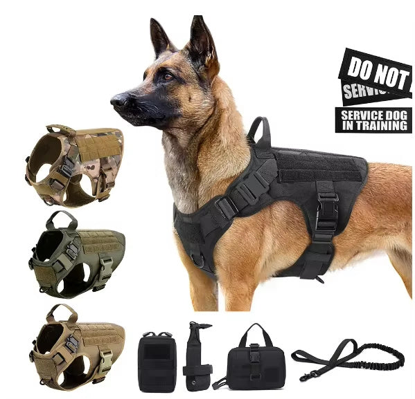 Unleash Adventure with the Tactical Luxury Dog Harness Set – Built for Style & Strength! - Pet Paws