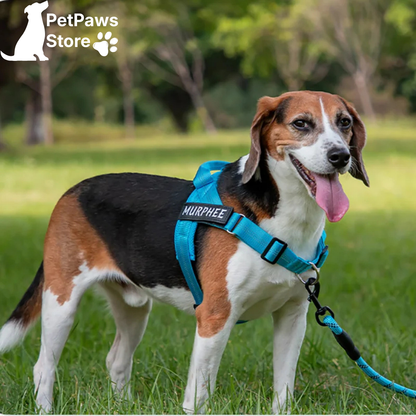 PetPaws No-Pull Comfort Harness