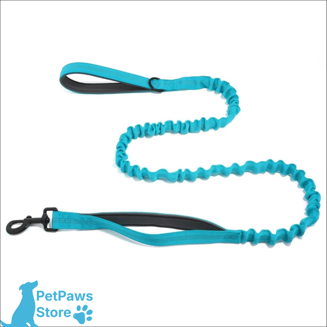 PetPaws Bungee Comfort Leash