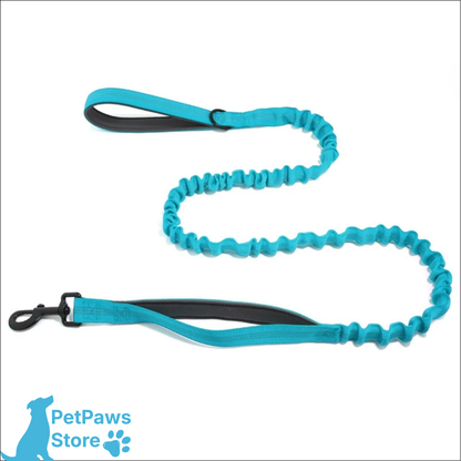 PetPaws Bungee Comfort Leash