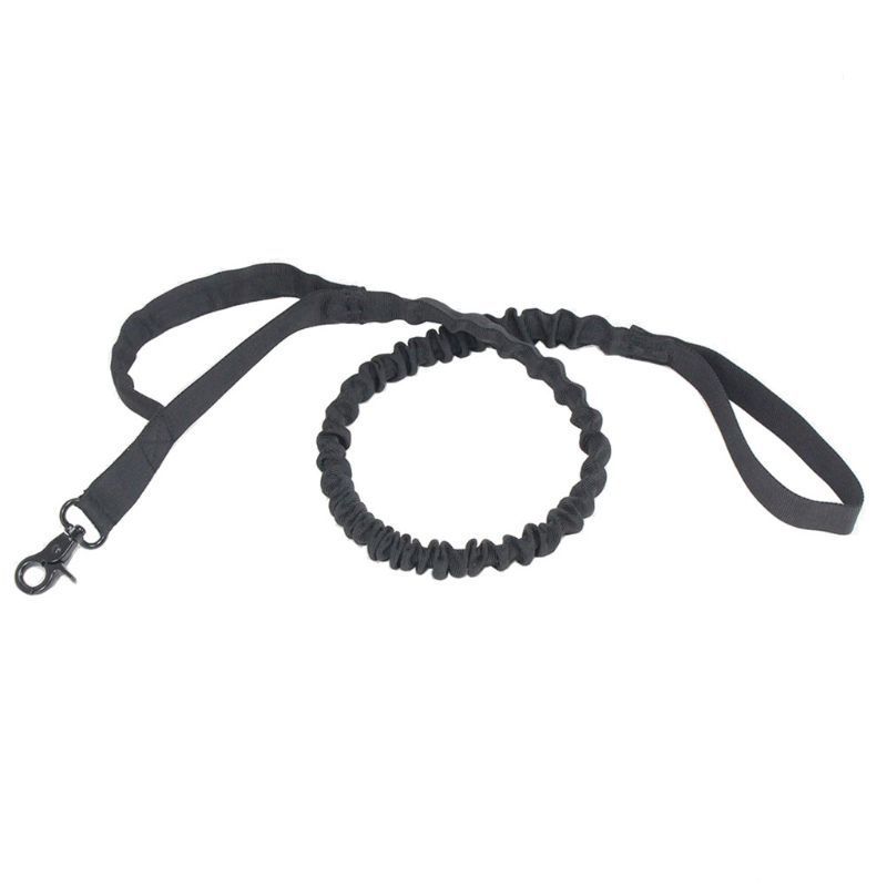 Control & Comfort Combined – The Ultimate Elastic Buffer Outdoor Dog Leash! - Pet Paws