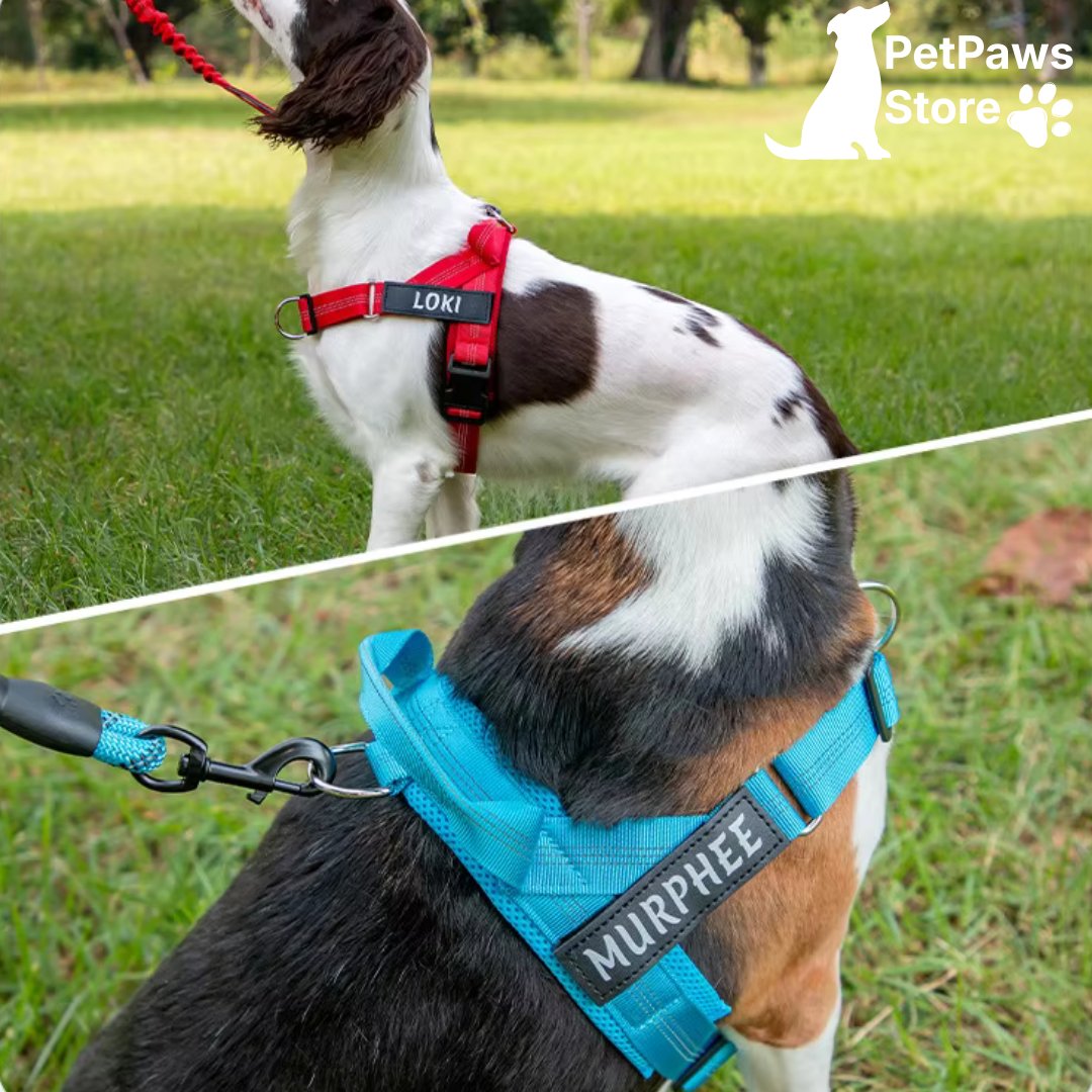 PetPaws No-Pull Comfort Harness