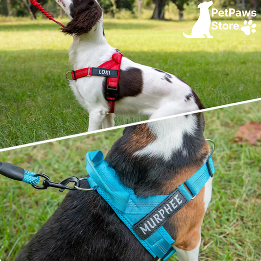 PetPaws No-Pull Comfort Harness