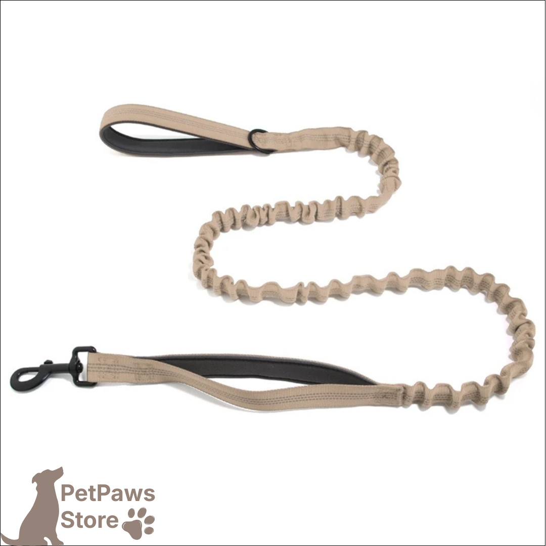PetPaws Bungee Comfort Leash