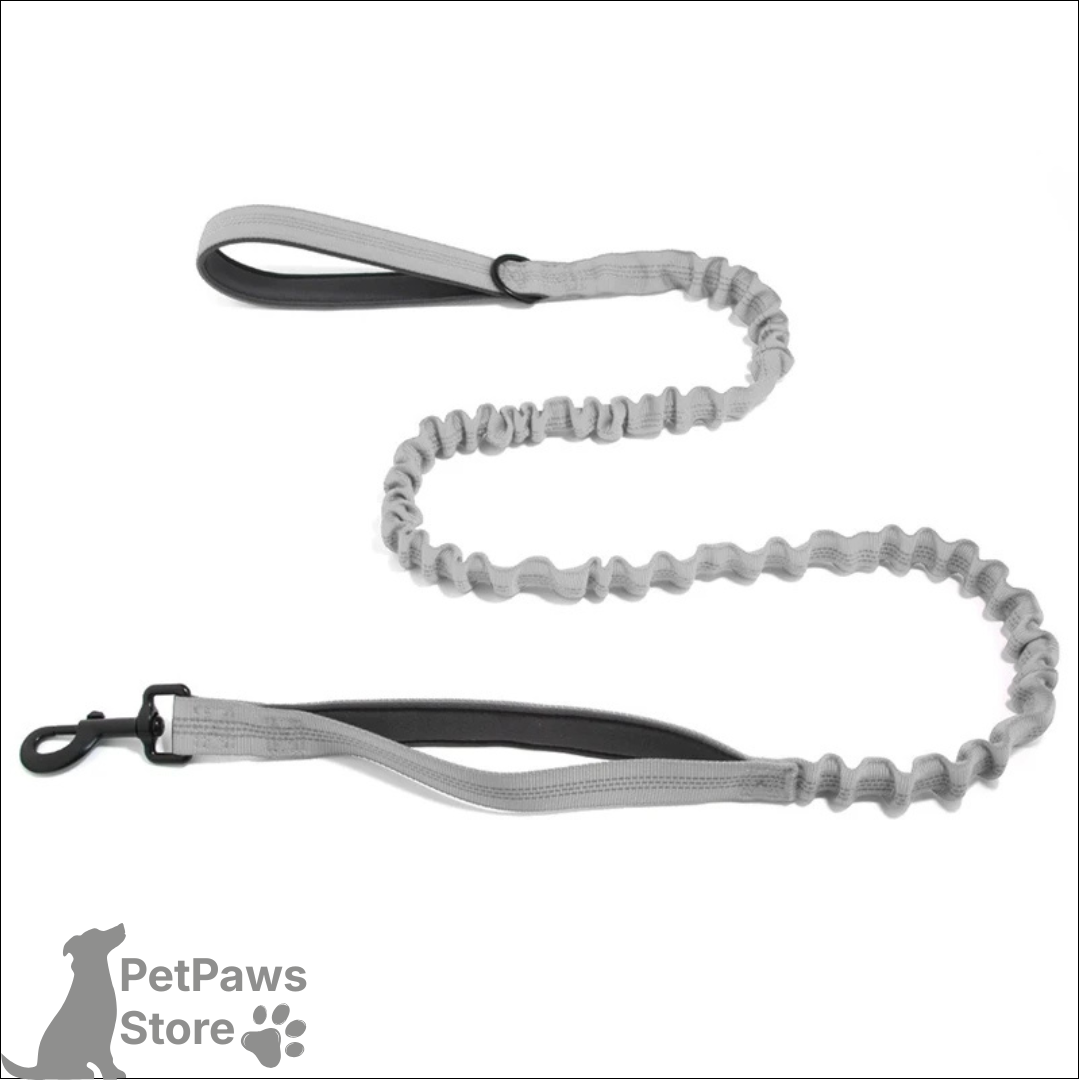 PetPaws Bungee Comfort Leash