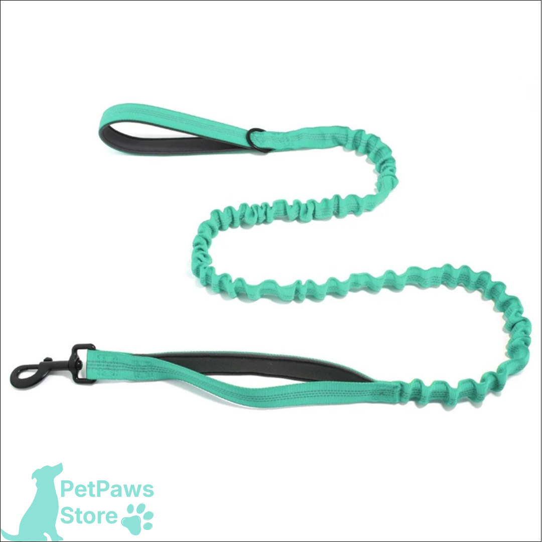 PetPaws Bungee Comfort Leash