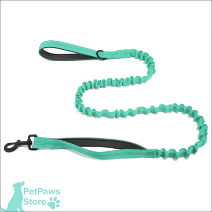 PetPaws Bungee Comfort Leash