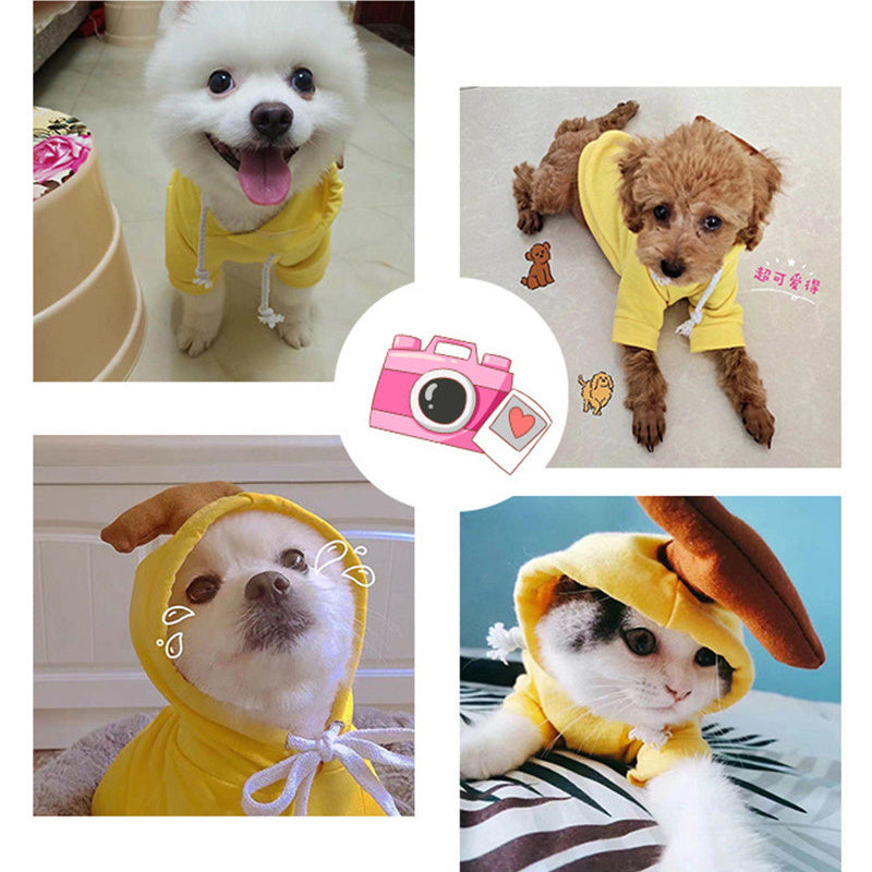 Keep Your Pet Cozy & Cute with Adorable Fruit-Themed Winter Hoodies! - Pet Paws