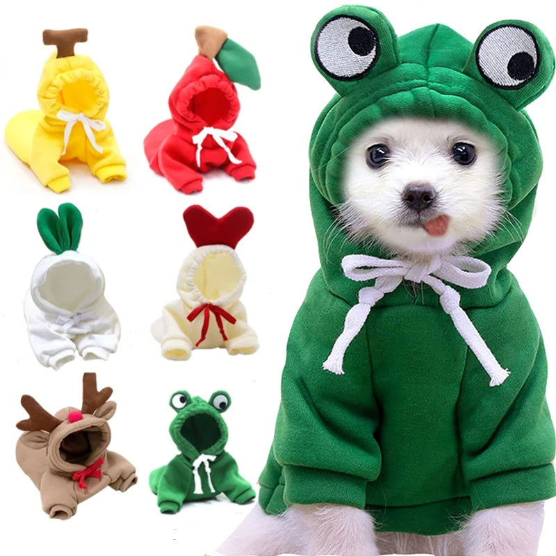 Keep Your Pet Cozy & Cute with Adorable Fruit-Themed Winter Hoodies! - Pet Paws