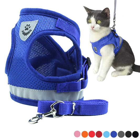 Reflective & Comfortable Dog Harness with Leash – Perfect Fit for Safe Walks! - Pet Paws