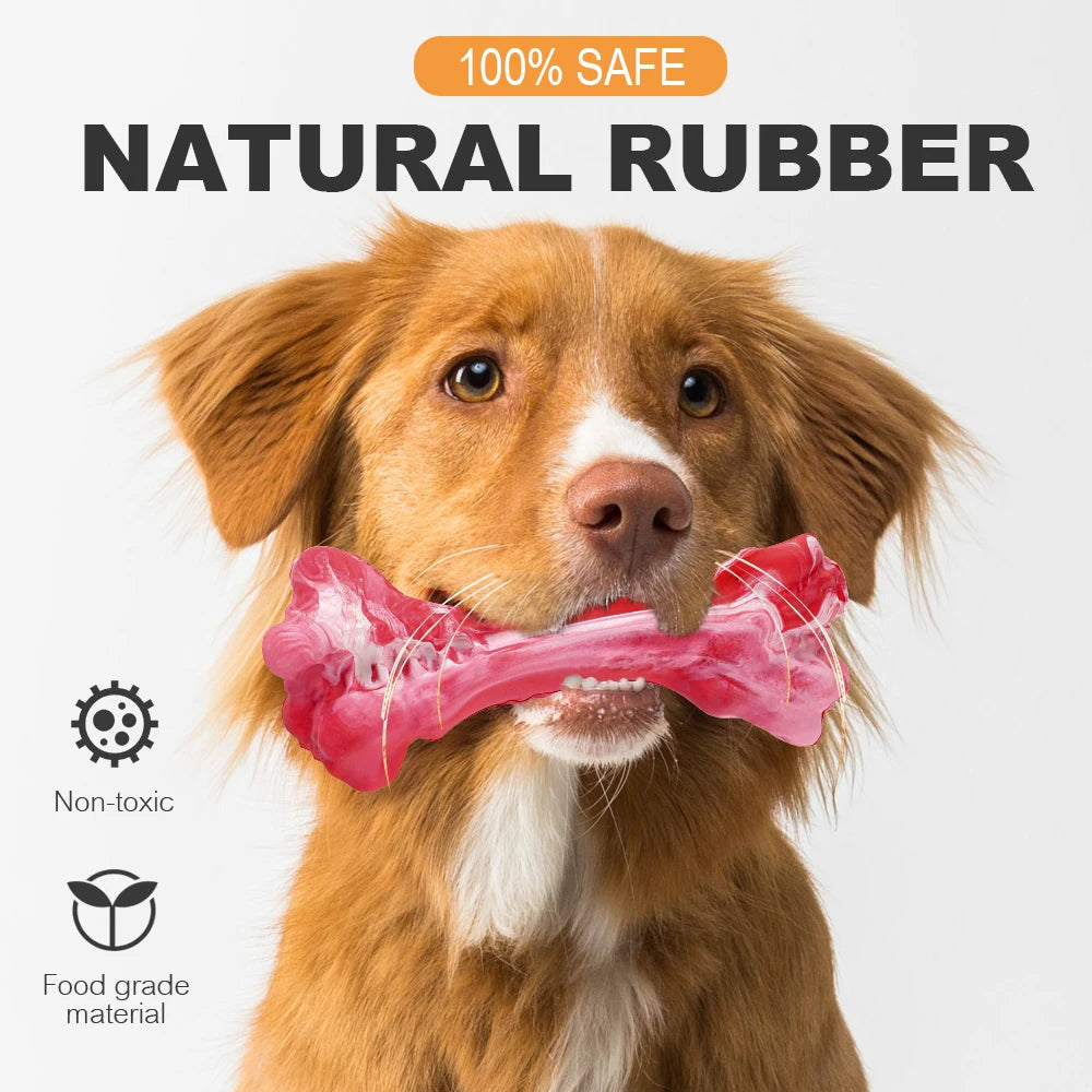 🐾 Keep Your Dog's Teeth Clean & Fun with Our Durable Bone Chew Toy! 🦴 - Pet Paws