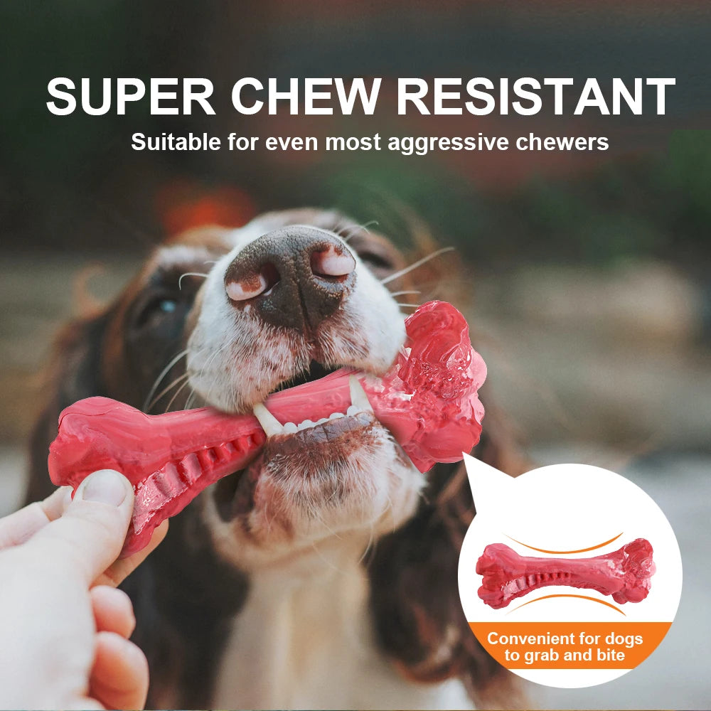 🐾 Keep Your Dog's Teeth Clean & Fun with Our Durable Bone Chew Toy! 🦴 - Pet Paws