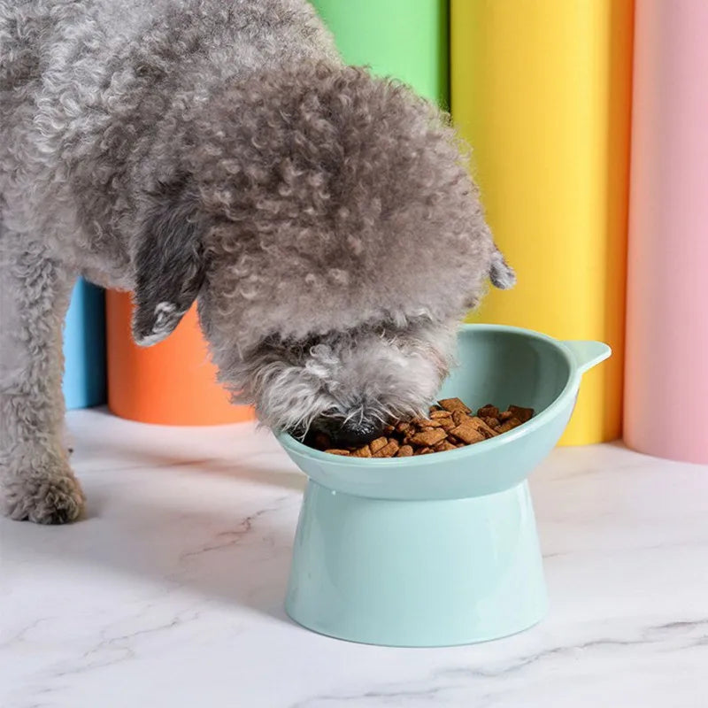 🍽️ Elevate Your Pet’s Comfort with Our Raised Pet Food Bowl – Perfect for Cats & Dogs! 🐾 - Pet Paws