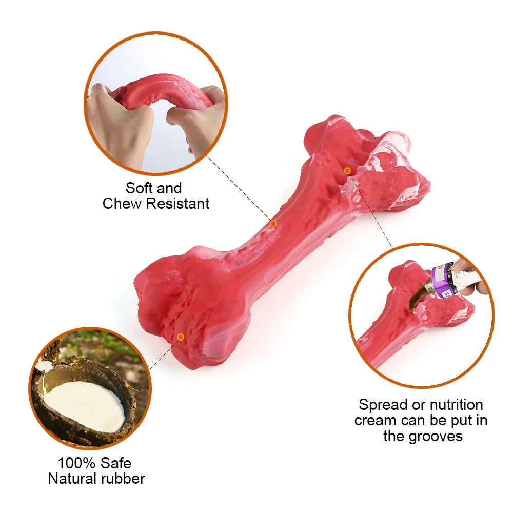 🐾 Keep Your Dog's Teeth Clean & Fun with Our Durable Bone Chew Toy! 🦴 - Pet Paws