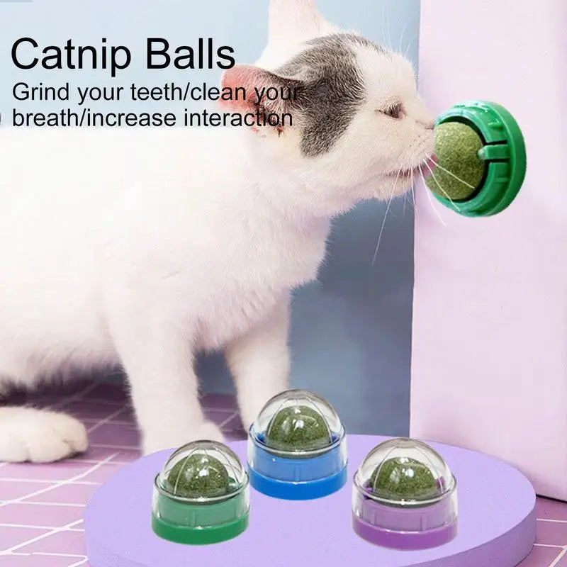 Play, Chew, and Clean – The Ultimate Lickable Catnip Balls for Happy, Healthy Cats! - Pet Paws