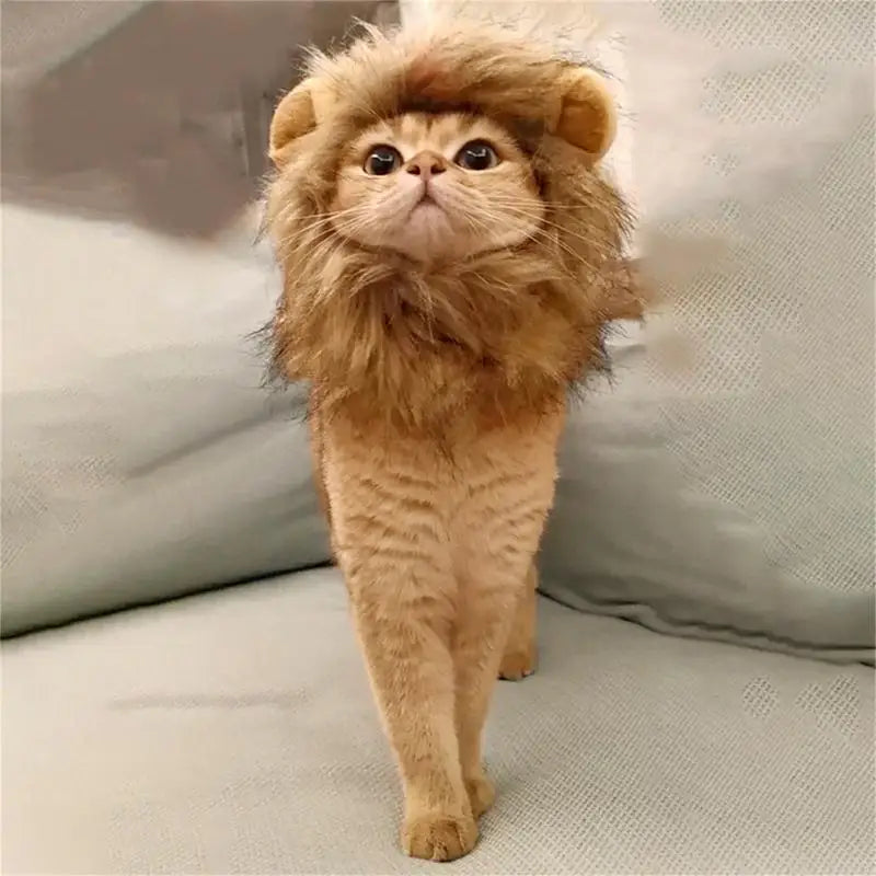 Cat Lion Mane Kitten Customs For Halloween Cosplay Pet Costumes Hat For Christmas Dress Up Accessories Decoration For Kitten - Pet Paws