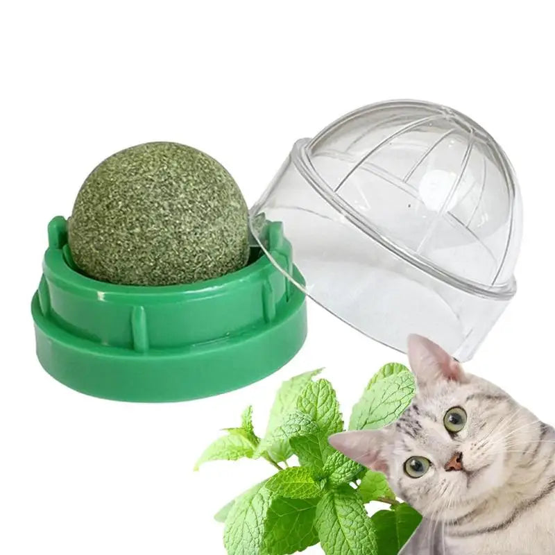 Play, Chew, and Clean – The Ultimate Lickable Catnip Balls for Happy, Healthy Cats! - Pet Paws