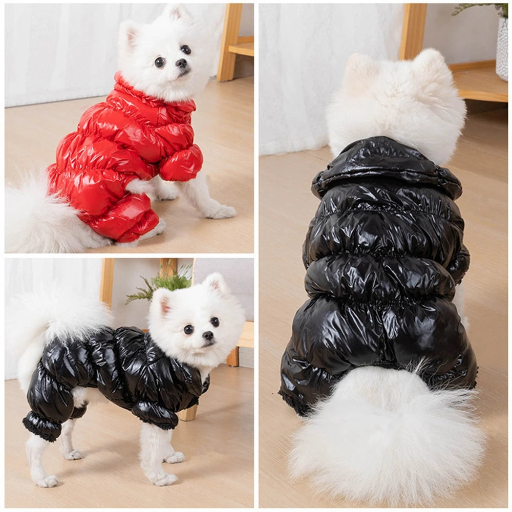 🐾 Warm, Waterproof Dog Jumpsuit for Winter Adventures! ❄️