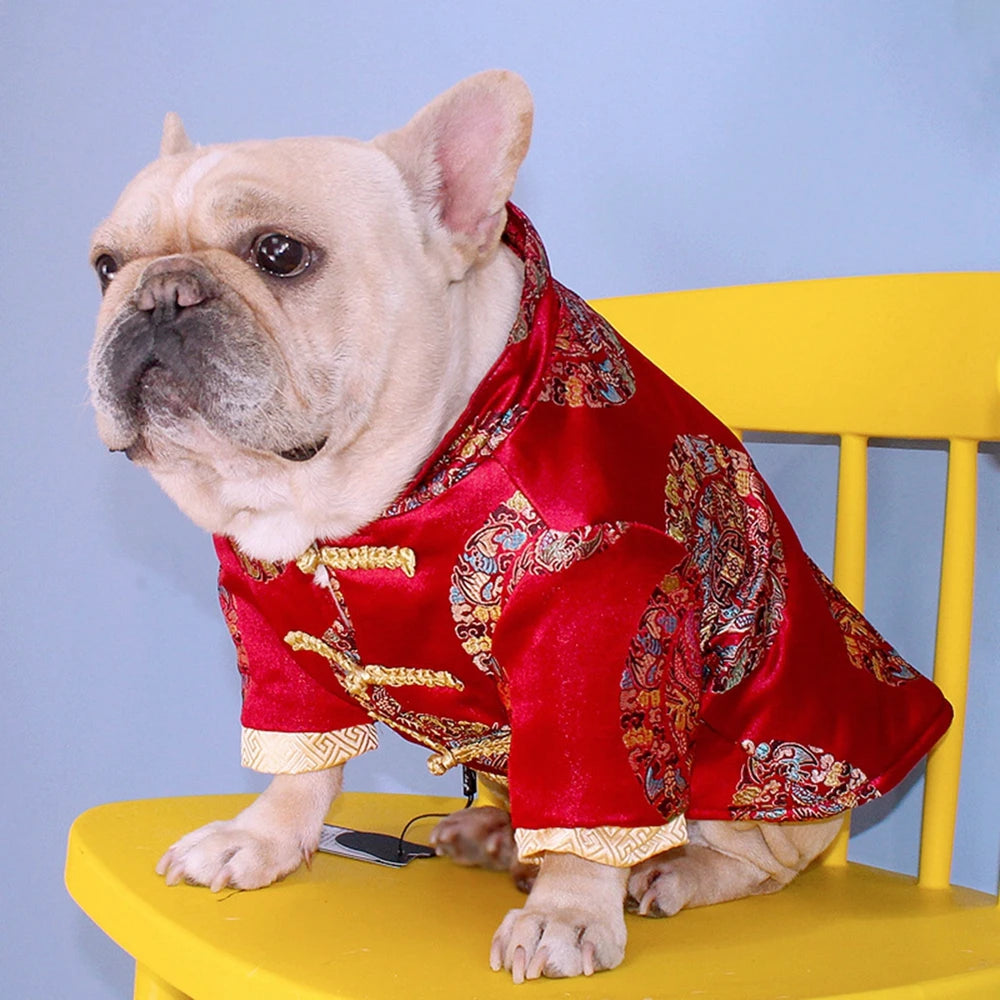 🐾 Stylish Chinese New Year Tang Suit for Dogs 🐶🎉