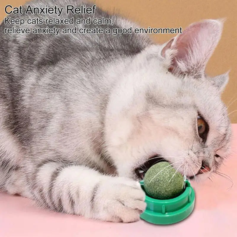 Play, Chew, and Clean – The Ultimate Lickable Catnip Balls for Happy, Healthy Cats! - Pet Paws