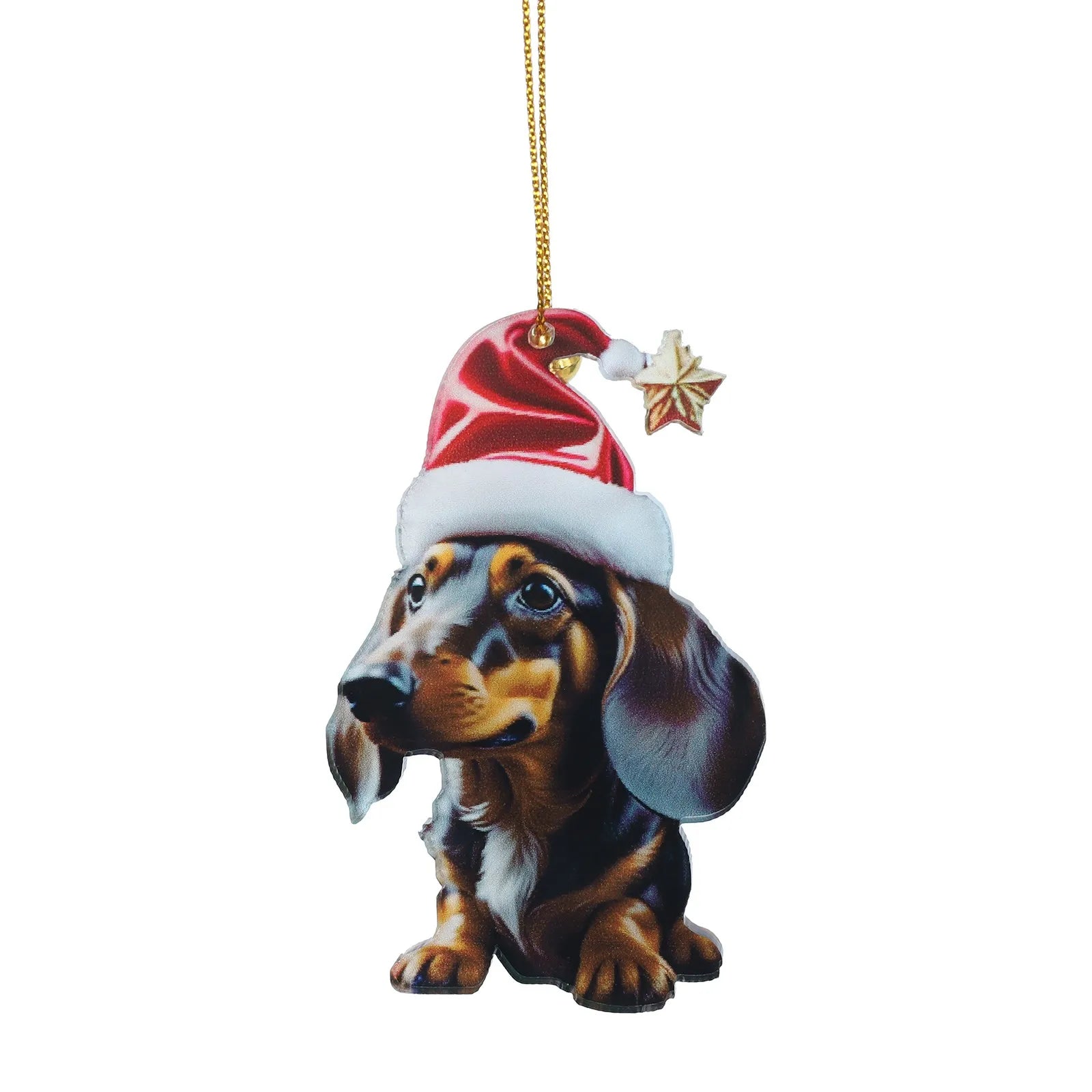 🎄 Add Charm to Your Holidays with the Cute Dog Christmas Ornament! 🐶✨ - Pet Paws