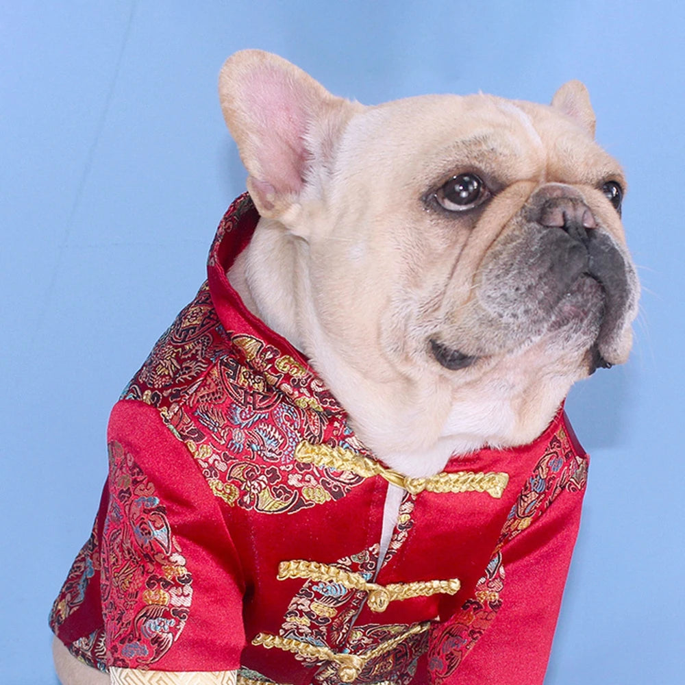 🐾 Stylish Chinese New Year Tang Suit for Dogs 🐶🎉