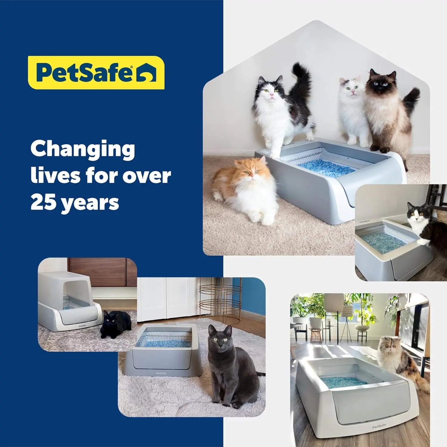 Cat litter refill trays best sale