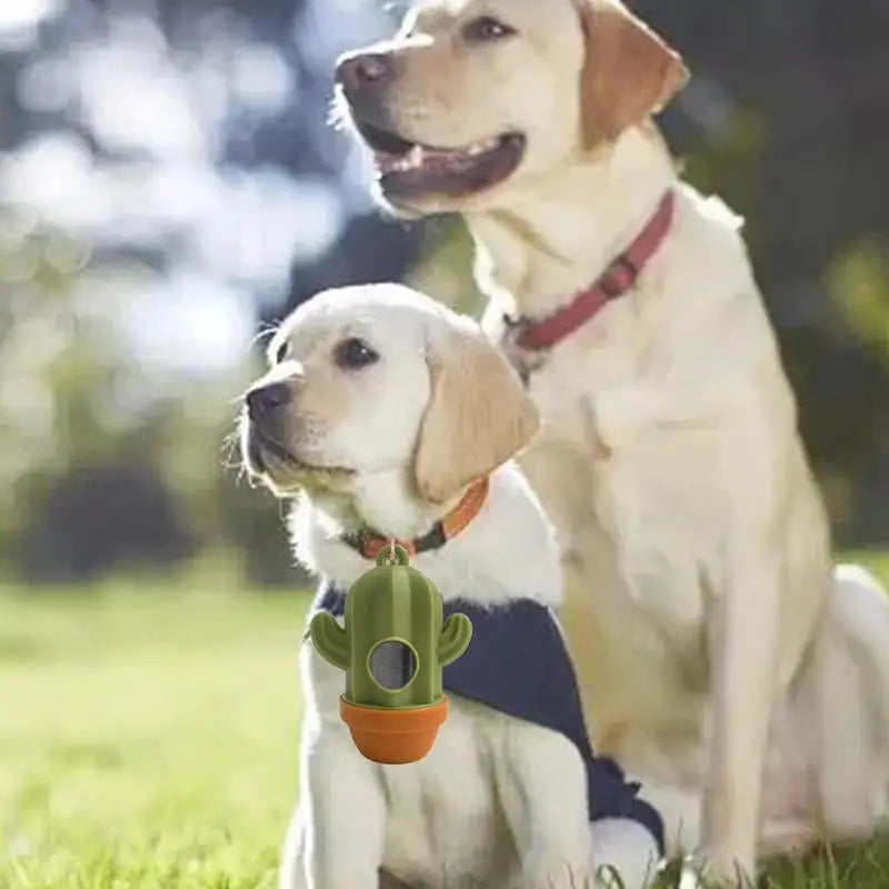 Convenient & Fun Cactus-Shaped Poop Bag Holder – Keep Clean on Your Walks! - Pet Paws