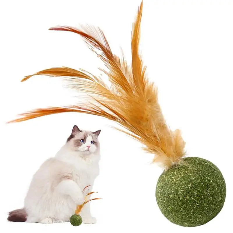 🎉 Keep Your Cat Active and Entertained with Our Interactive Feather Catnip Toy Ball! - Pet Paws