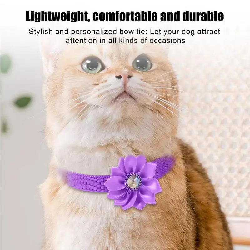 🌸 Adorable & Stylish Cat Flower Collar with Bell - Perfect for Fashionable Pets! 🐾 - Pet Paws