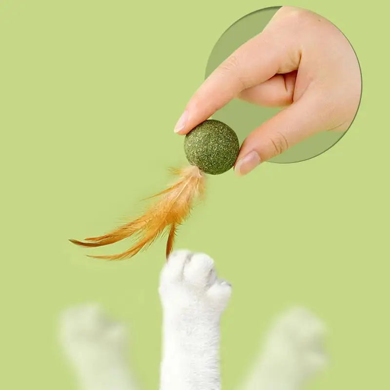 🎉 Keep Your Cat Active and Entertained with Our Interactive Feather Catnip Toy Ball! - Pet Paws