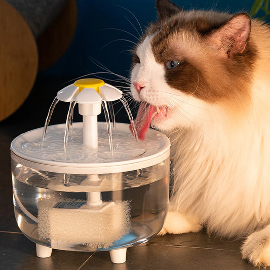 USB Cat Water Fountain, Quiet & Automatic Drinking Dispenser 🐱💧