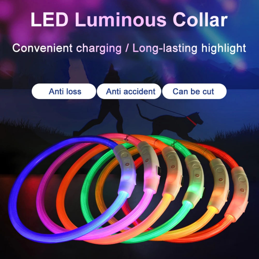 Stay Safe & Seen with Our LED Light Dog Collar – Perfect for Night Walks! - Pet Paws