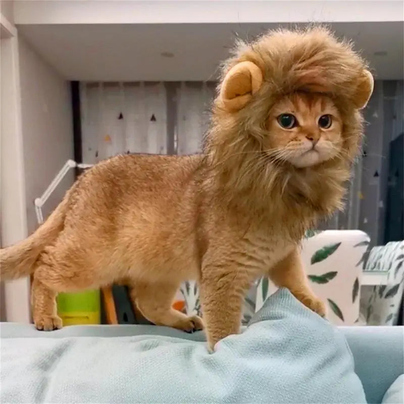 Cat Lion Mane Kitten Customs For Halloween Cosplay Pet Costumes Hat For Christmas Dress Up Accessories Decoration For Kitten - Pet Paws