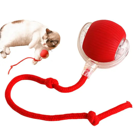 🐾 Keep Your Cat Engaged and Active with the Intelligent Interactive Cat Ball Toy! 🐱🎮 - Pet Paws